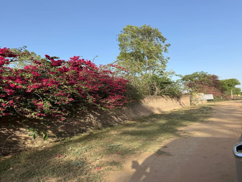 1 Acre Farms For Sale In Sohna, Gurgaon